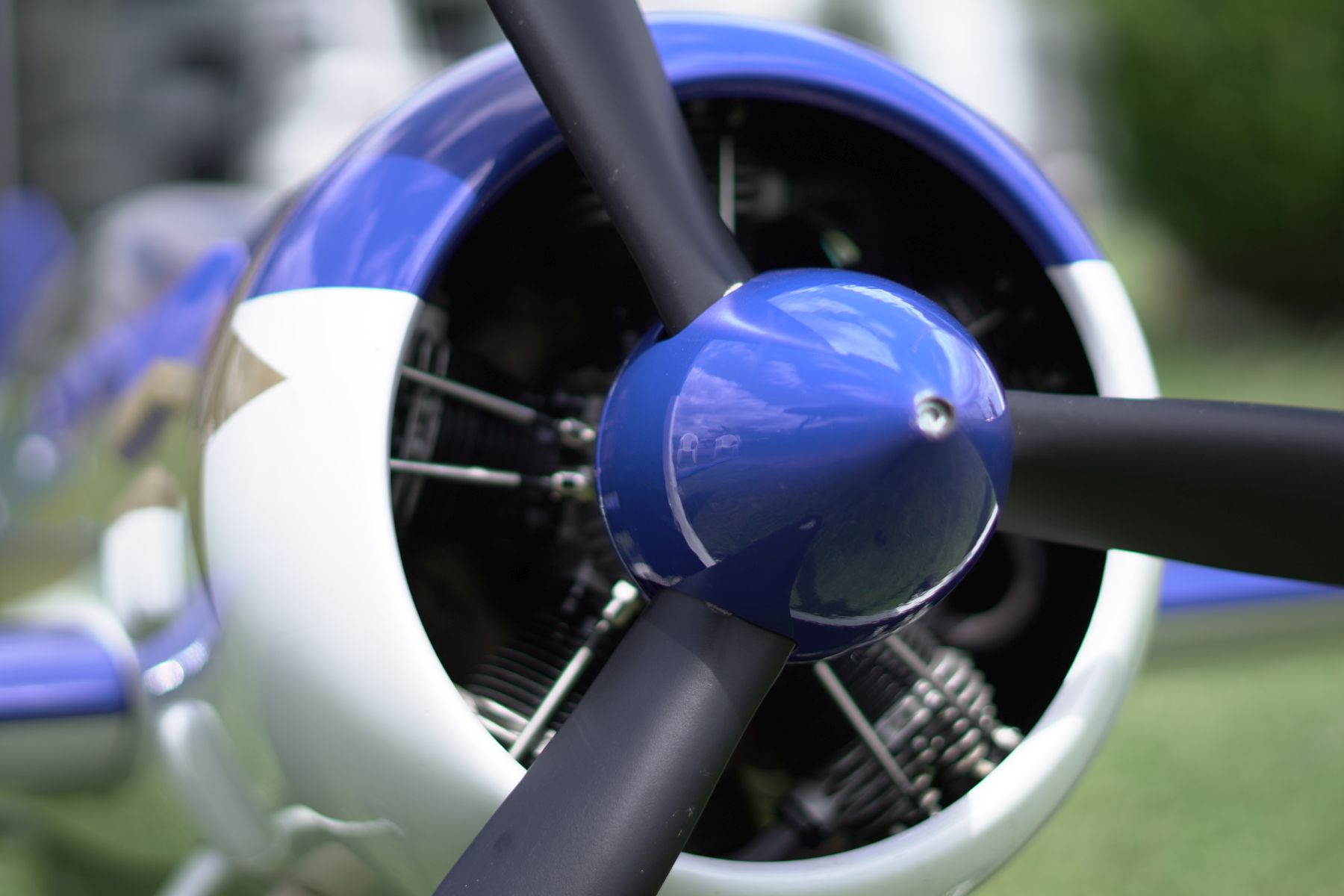 das fliegen webseite (7)